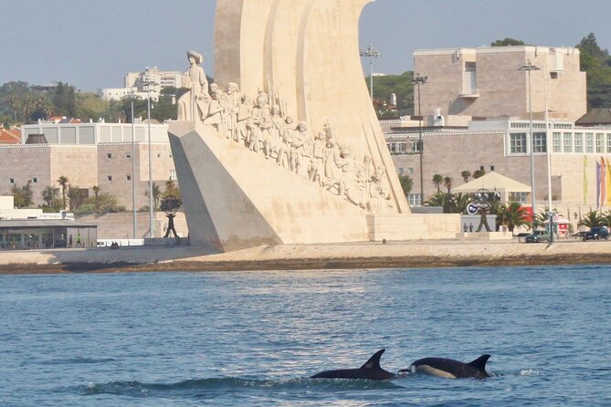 Meet the Lisbon Dolphins - Dolphin Watching in Lisbon - The 3-hour plan: Tagus River first, then the ocean