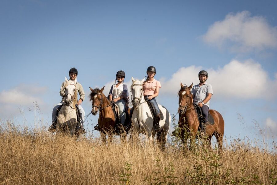 Melides: Horse Riding on the Beach with Wine Tasting - The Beach Ride Beyond 60 Kilometers: Why Pace Matters Here