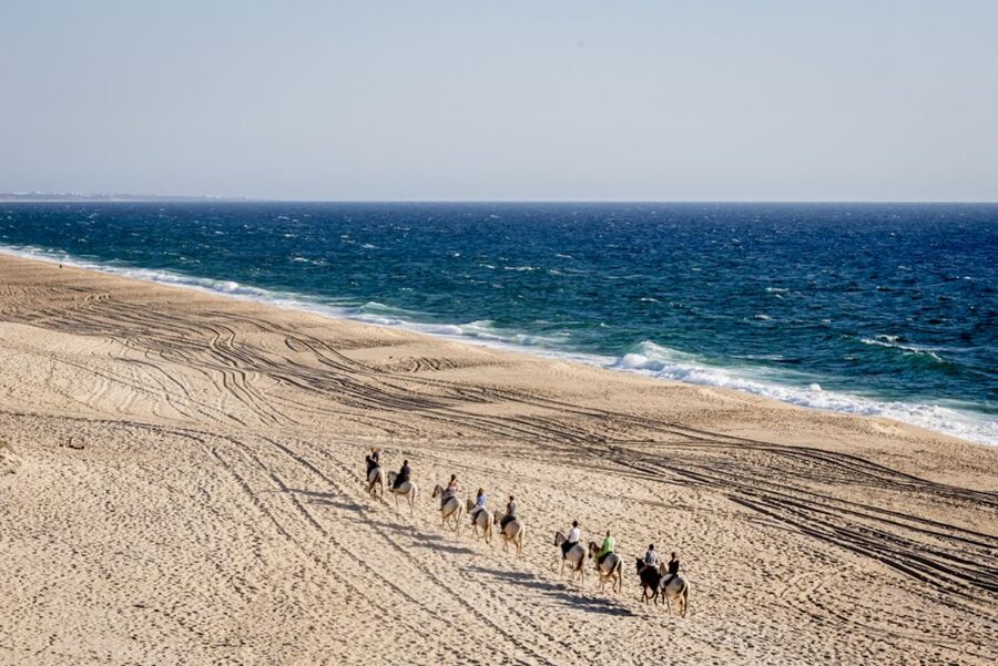 Melides: Horse Riding on the Beach with Wine Tasting - Where the Wine Tasting and BBQ Fit In (And What to Confirm)