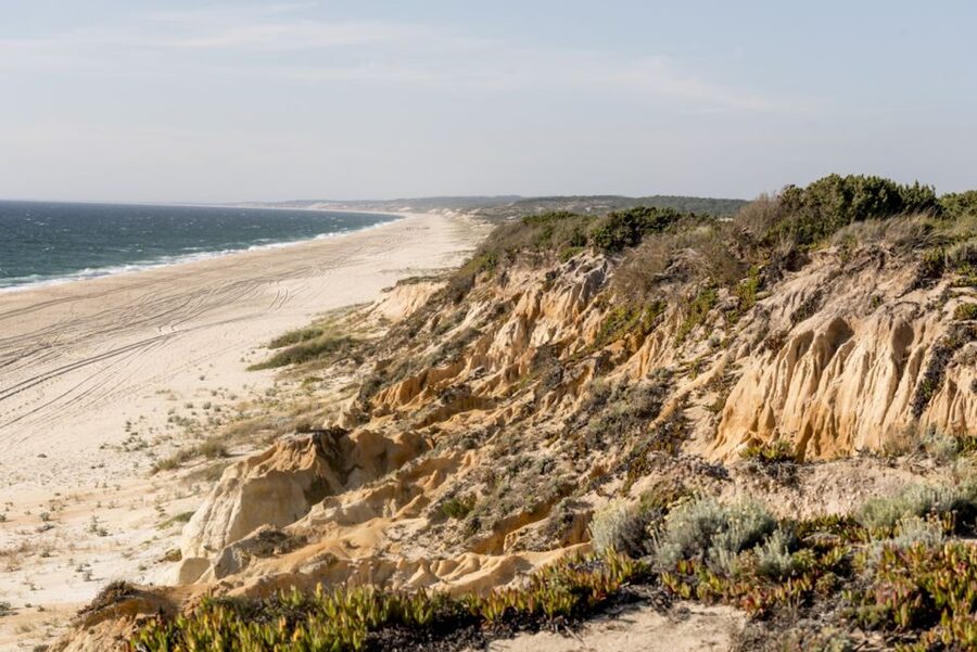 Melides: Horse Riding on the Beach with Wine Tasting - Weather Dependence: When the Ride Might Shift