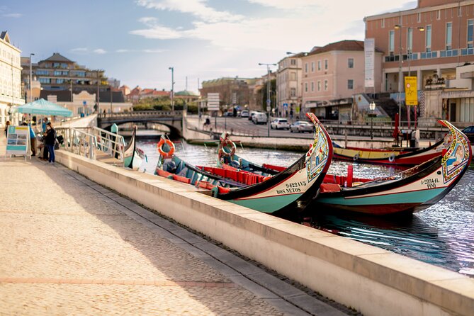 Moliceiro Boat Tour on the Ria de Aveiro - Who this Moliceiro boat tour is best for