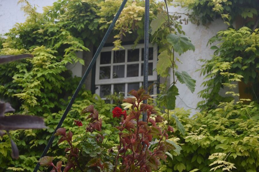 Óbidos: Medieval Tales & Secrets Spots Guided Walking Tour - Who This Tour Fits Best, and Who Should Skip It