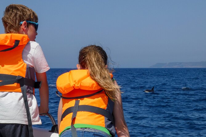 Observation of Dolphins and Whales with Marine Biologist in Arrábida - Who this tour suits best (and who might want a different plan)