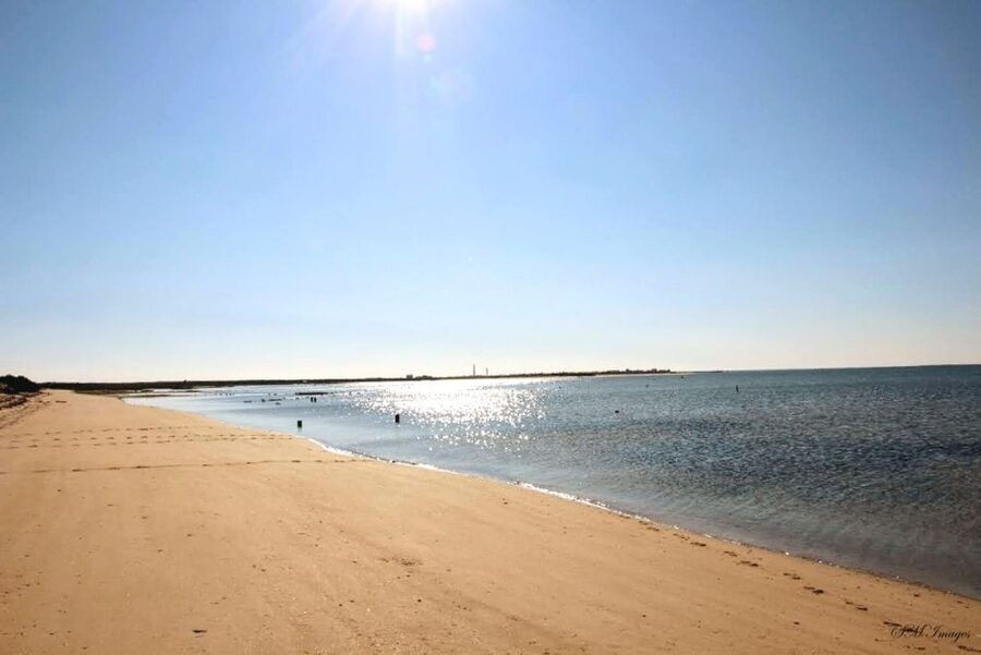 Olhão: 3 Islands Guided Sightseeing Tour with Lunch - What you’ll learn about the ecosystem (and why that matters)