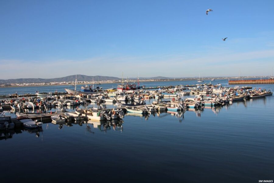 Olhão: 3 Islands Guided Sightseeing Tour with Lunch - Price and value: what you get for $88