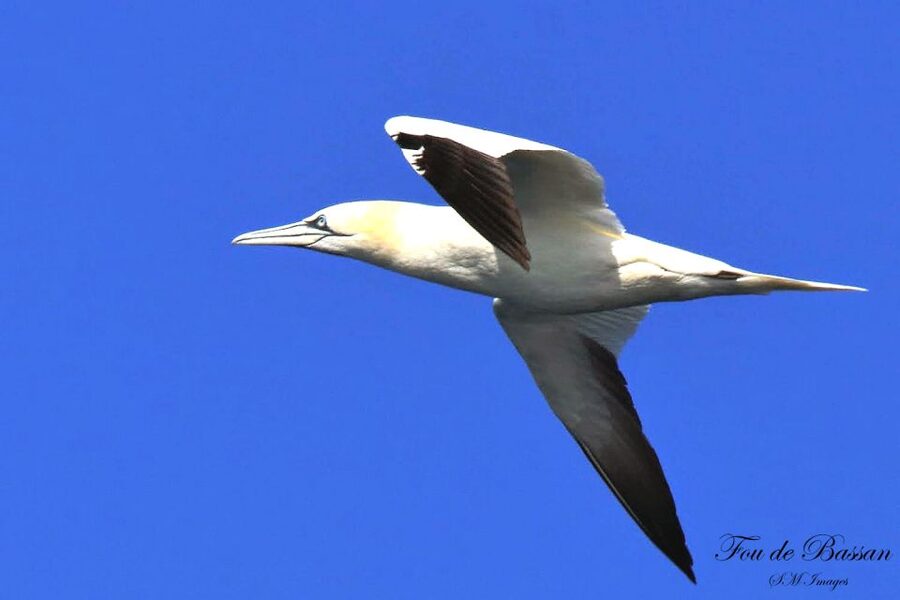 Olhão: 3 Islands Guided Sightseeing Tour with Lunch - Who this tour is best for