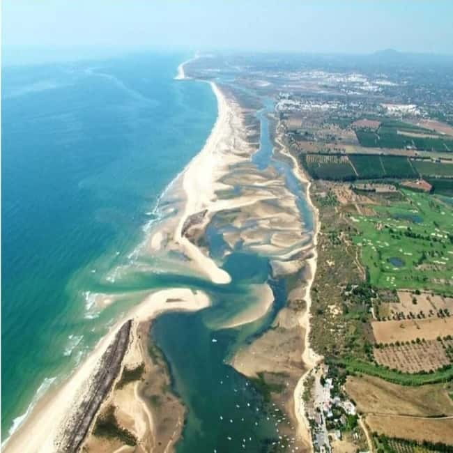 Olhão: Ria Formosa 3 Islands Guided Day Trip by Boat - Armona Island: swimming, sightseeing, and the sandbank moment