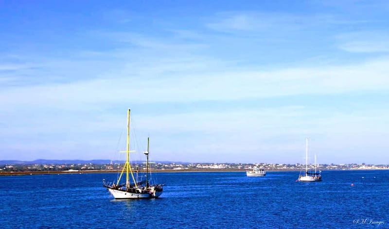 Olhão: Ria Formosa 3 Islands Guided Day Trip by Boat - Sunset over the lagoon, when timing works in your favor
