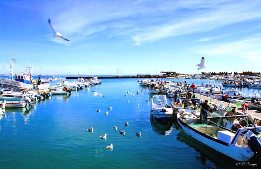 Olhão: Ria Formosa 3 Islands Guided Day Trip by Boat - Price and value: why $58 can still feel fair