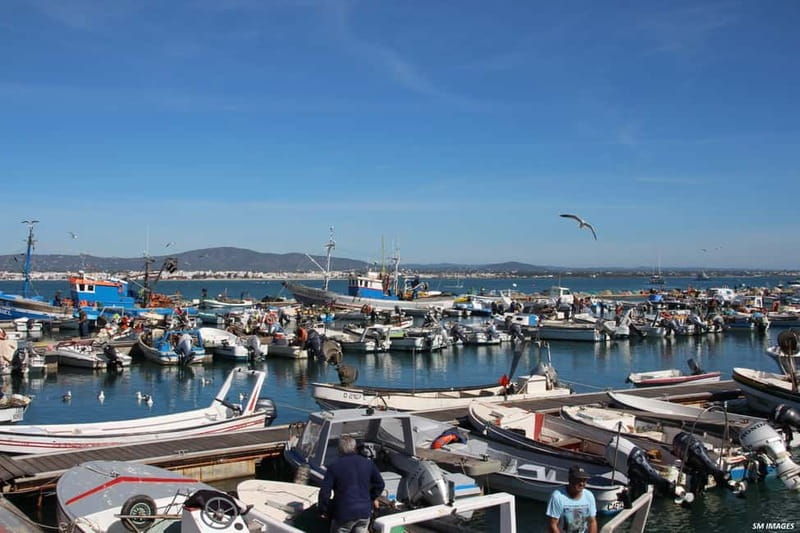 Olhão: Ria Formosa 3 Islands Guided Day Trip by Boat - What to pack, and small comfort choices that pay off