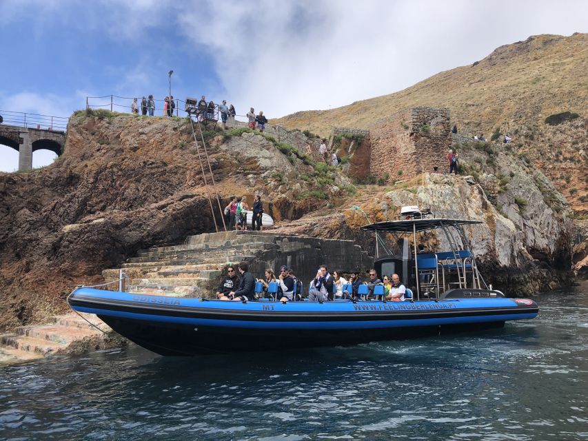 Peniche: Berlenga Island and Cave Tour - Who This Tour Fits Best