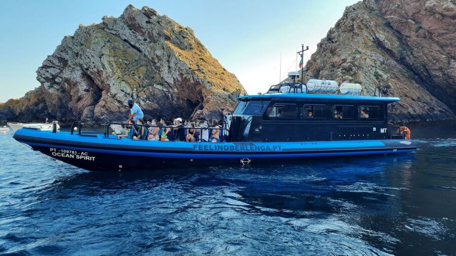 Peniche: Berlengas Island Trip, Hiking and Cave Tour - Who the guides are and why they matter so much