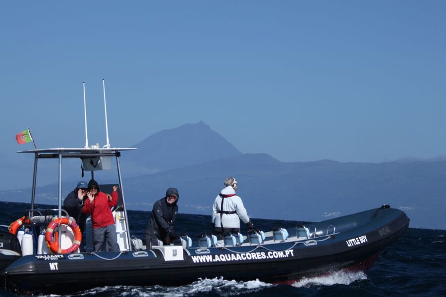Pico Island: Azores Whale & Dolphin Watching on Zodiac Boat - Key things I’d pin to your plan before you go