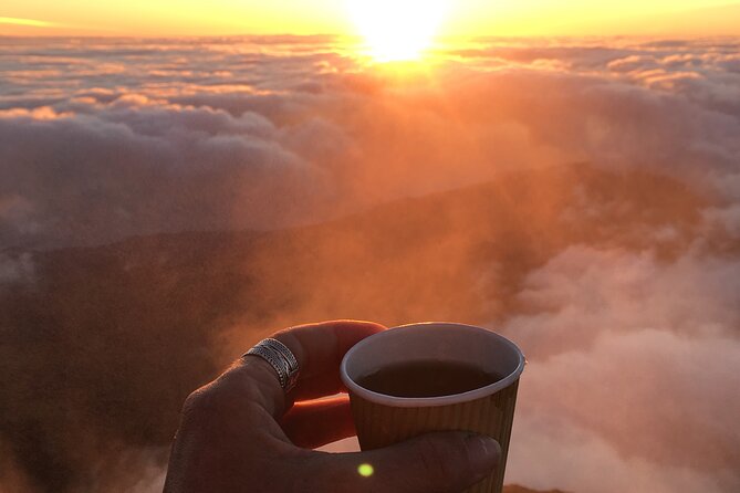 Pico Mountain: Climb the Highest Point of Portugal 2351m - The Hike Profile: 8km, Volcanic Rock, and an Average 30% Grade