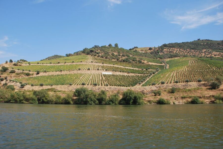 Pinhão: 2-Hour Rabelo Boat Tour with Audio Guide - A Calm Way to See Douro Wine Country From the Water