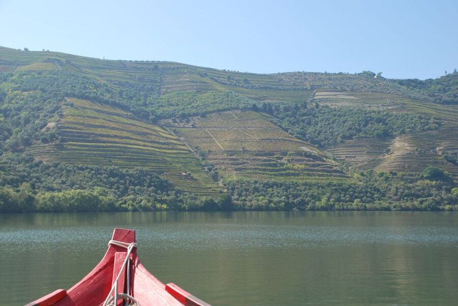 Pinhão: 2-Hour Rabelo Boat Tour with Audio Guide - Audio Guide App Setup, Languages, and the Headphones Reality