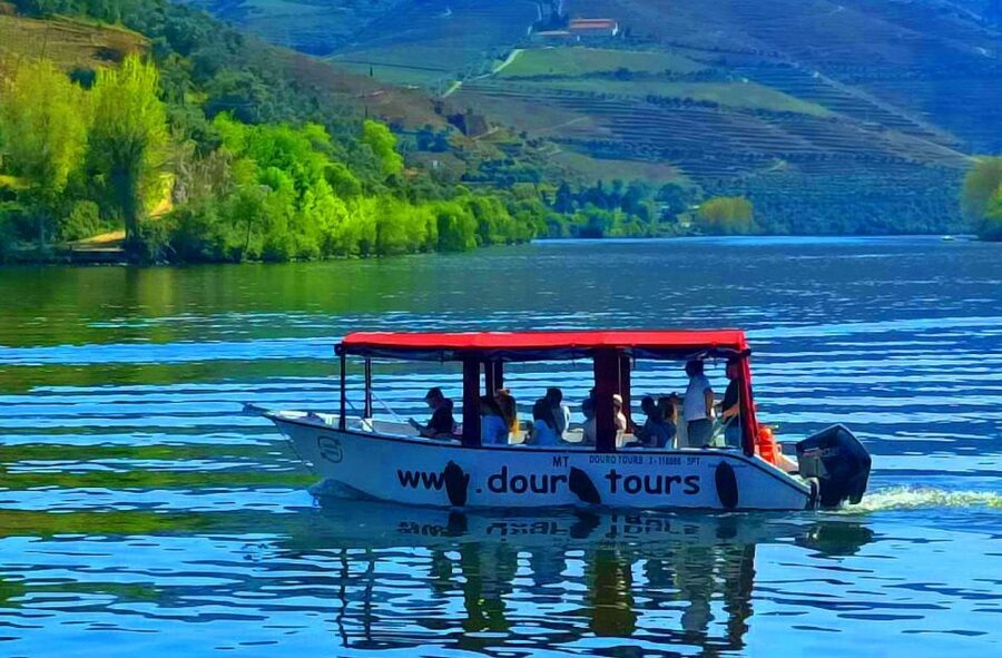 Pinhão: Douro River 50-min Boat Trip with Port Wine - Ponte do Pinhão to the Quintas: What You See and Why It Matters