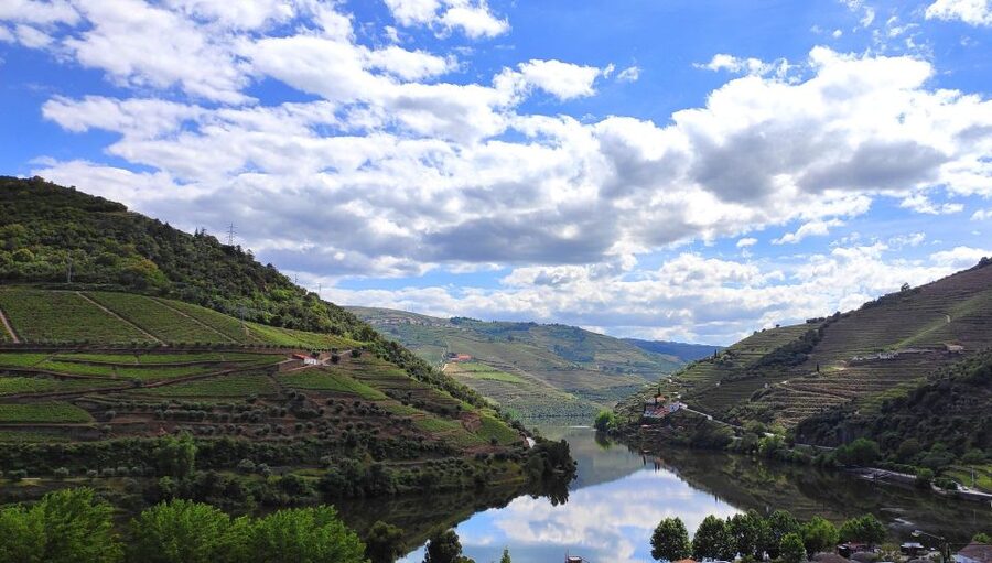 Pinhão: Douro River 50-min Boat Trip with Port Wine - Who Should Book This and Who Might Want a Different Option