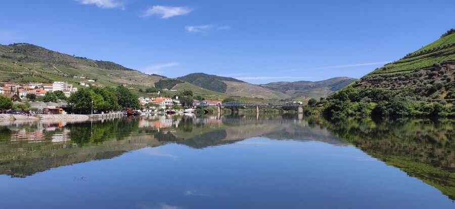 Pinhão: Douro River 50-min Boat Trip with Port Wine - Getting From Douro Tours Kiosk to Your Seat