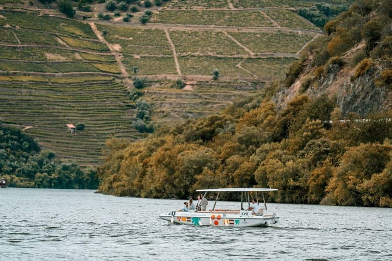 Pinhão: Douro River Solar Boat Tour with Wine Tasting - Wine Tasting on Board With Adega de Favaios