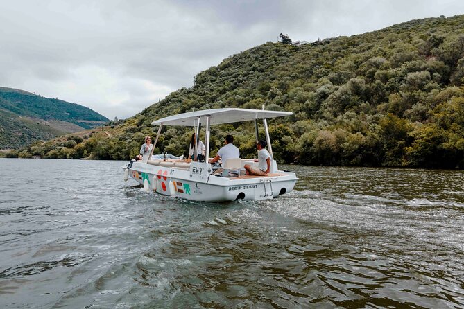 Pinhão: Electric Boat Experience 1h - Taste of Two Wines - Price and value: why $24.20 for one hour can feel fair