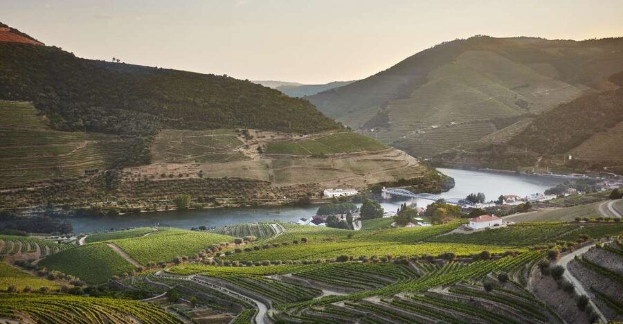 Pinhão: Quinta do Bomfim Visit and Tasting - Quick hits