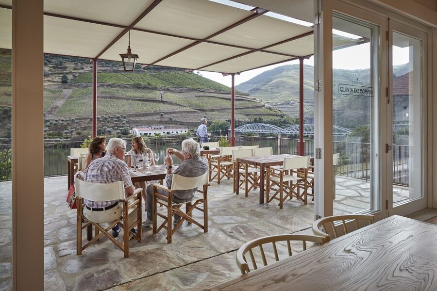 Pinhão: Quinta do Bomfim Visit and Tasting - Vineyard walks with dry stone terraces and mountain views