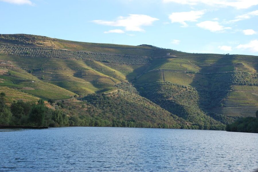 Pinhão: Rabelo Boat 1-Hour Tour - Ponte do Pinhão and Quinta do Bomfim: Where the Terraces Really Start to Make Sense