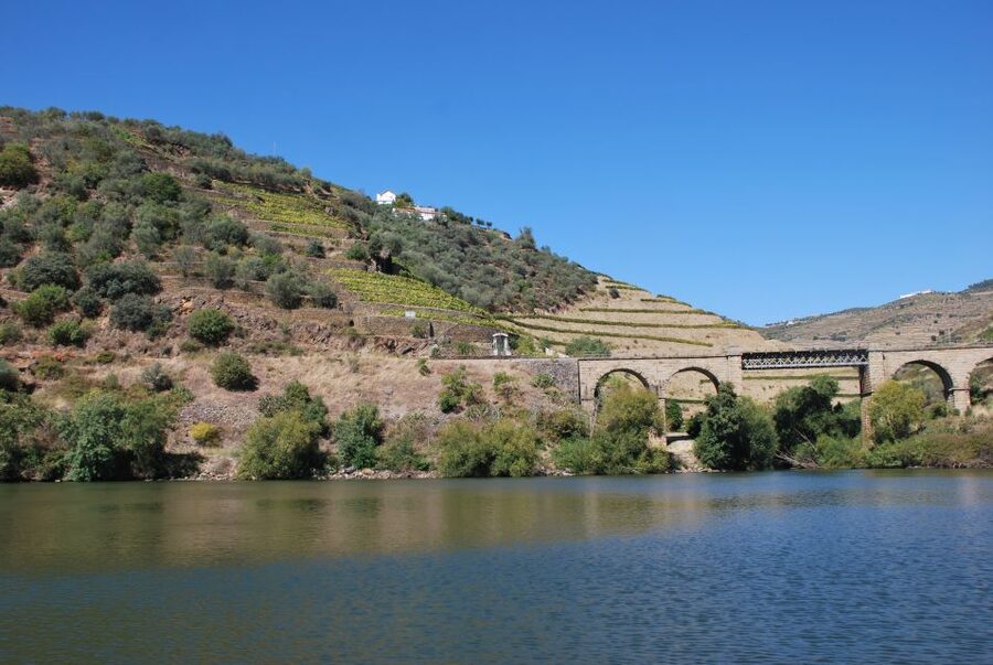 Pinhão: Rabelo Boat 1-Hour Tour - Quinta da Romaneira, Quinta do Pessegueiro, and Quinta do Ventozelo: When the River Becomes the Museum