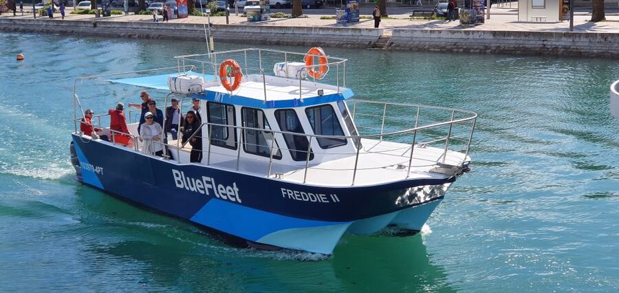 Ponta da Piedade: Half-Day Cruise with Lunch from Lagos - Key highlights worth your time