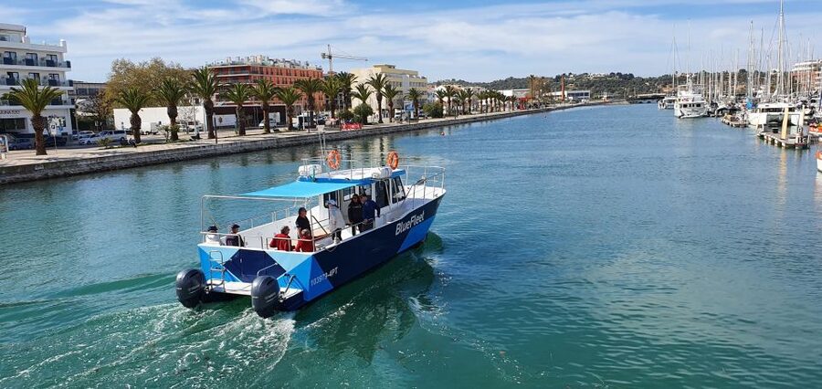 Ponta da Piedade: Half-Day Cruise with Lunch from Lagos - Crew energy and safety: the trip feels personal, not rushed