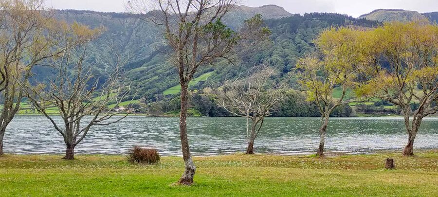Ponta Delgada: Sete Cidades Volcano Lakes Shore Excursion - Pineapples at St. Anthony: greenhouse tour plus tasting