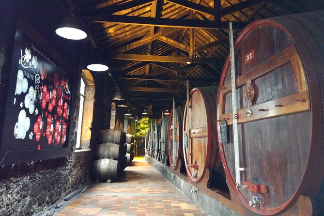 Port Wine Lodges Tour Including 7 Port Wine Tastings (English) - Interactive Douro Valley Interpretation and Terrace Views Over Porto