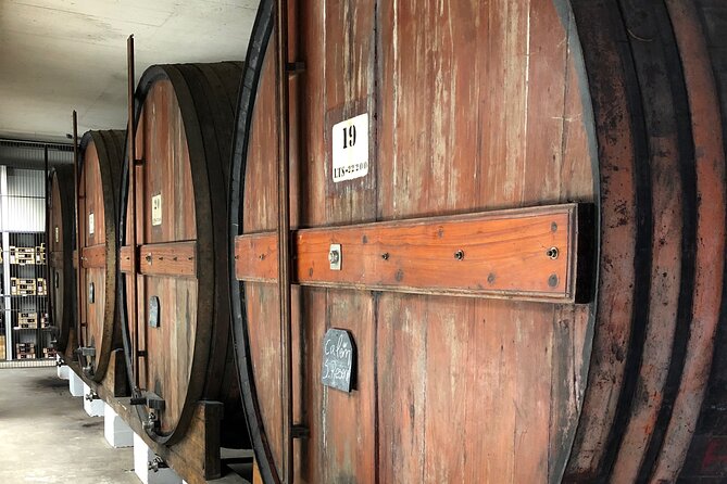 Port Wine Tour | 3 Cellars | 7 Tastings | 12 Participants Maximum - Who This Tour Suits Best, and Who Might Want a Different Plan