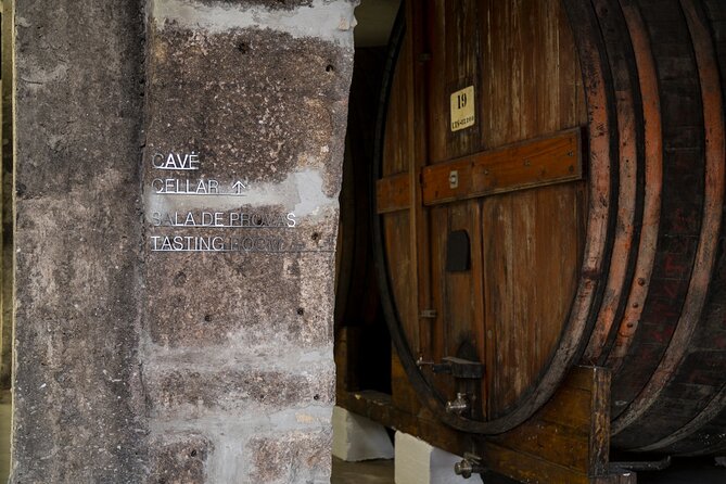 Port Wine Tour | 3 Cellars | 7 Tastings | 12 Participants Maximum - Practical Tips for a Better Tasting Day