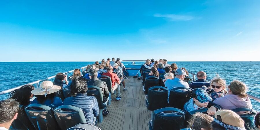 Portimão: Benagil Caves & Dolphins Watching with Biologist - Key points before you go