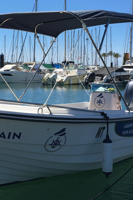 Portimão: Caves, Benagil and Algarve Coastline Boat Tour - Should you book the Portimão caves and Benagil tour?