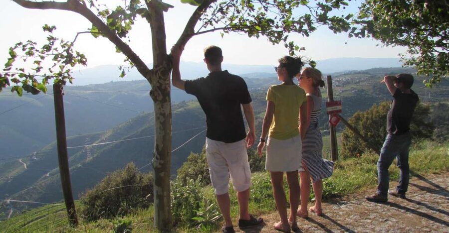 Porto: 3 Douro Valley Vineyards Tour with Lunch - Quick takes before you go