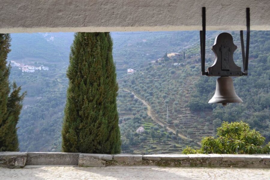 Porto: 3 Douro Valley Vineyards Tour with Lunch - Who this Douro Valley tour suits best