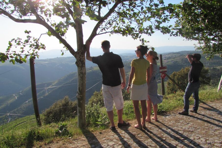 Porto: 3 Douro Valley Vineyards Tour with Lunch - The second winery and lunch in the Douro hills: where the day really slows down