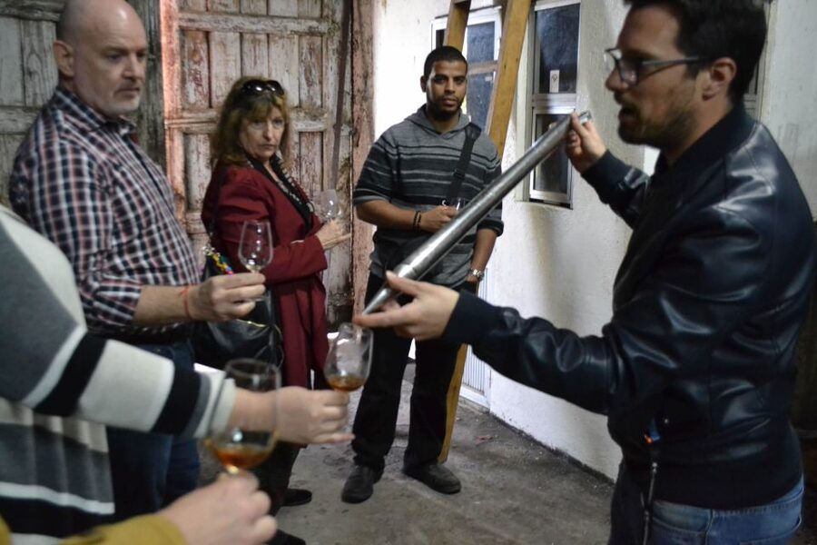 Porto: 3 Douro Valley Vineyards Tour with Lunch - Wine tastings and lunch pairing: what you should actually plan for