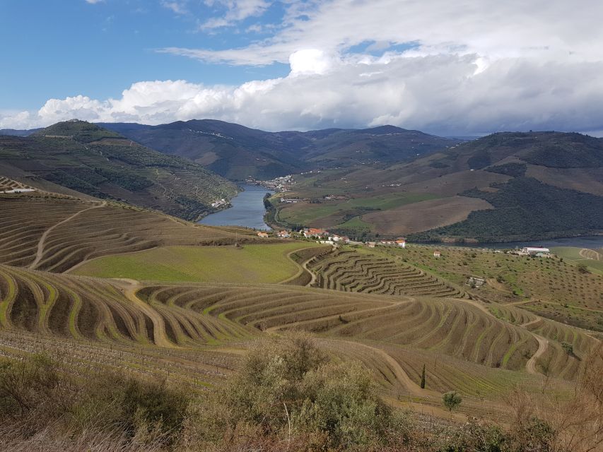 Porto: 3 Douro Valley Vineyards Tour with Lunch - Price and value: why this 3-winery plan often beats the time-cost tradeoff