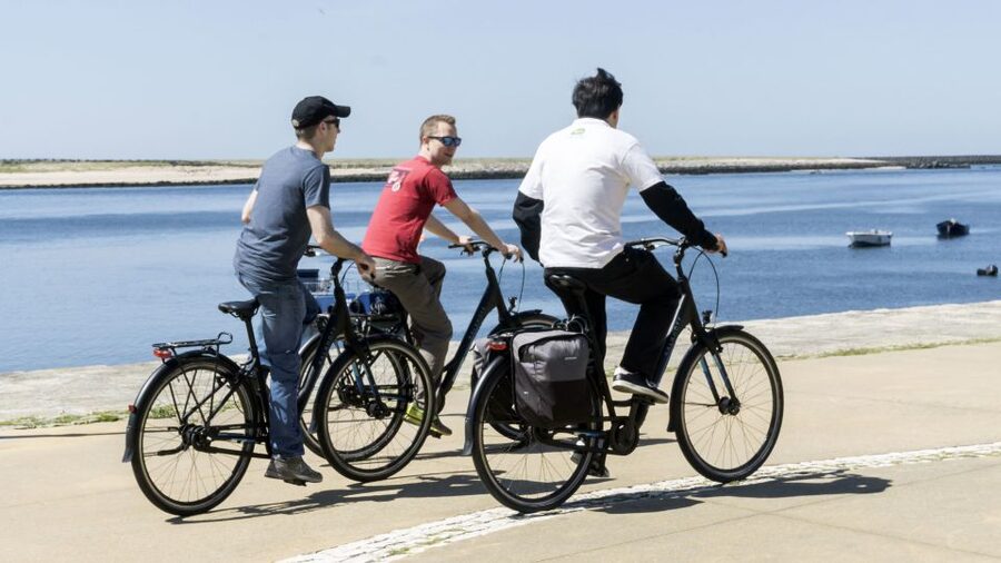 Porto: 3-Hour Bike Tour - São Francisco do Queijo, the Cheese Castle ruins, and a unique Porto story