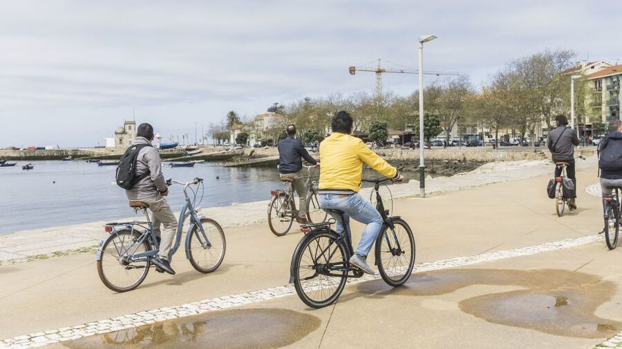 Porto: 3-Hour Bike Tour - City Park bike paths: the part that feels like a relief