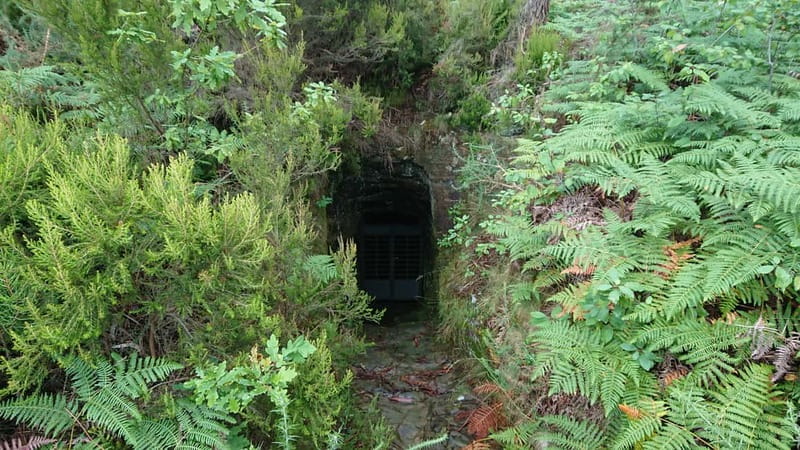 Porto: 4x4 Mountain Tour - River Ferreira: The Quiet Stop That Makes the Day Feel Longer
