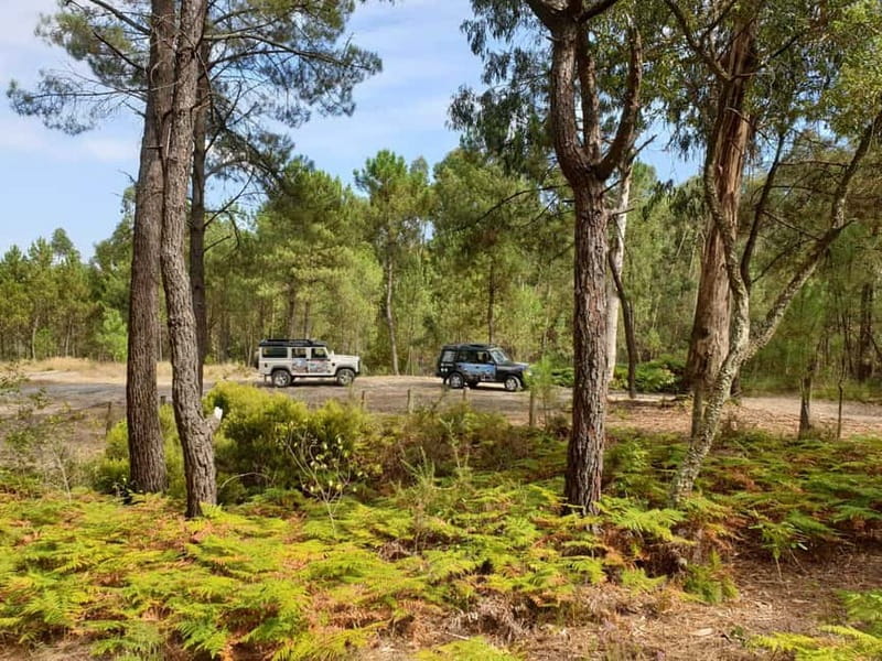 Porto: 4x4 Mountain Tour - Price and Value: What $84 Buys You in Real Terms