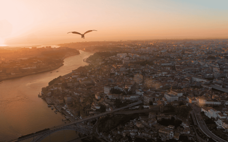 Porto: 5D Flight over de City for all family. - A Dragon-eye 5D Flight Over Porto, built for quick sightseeing