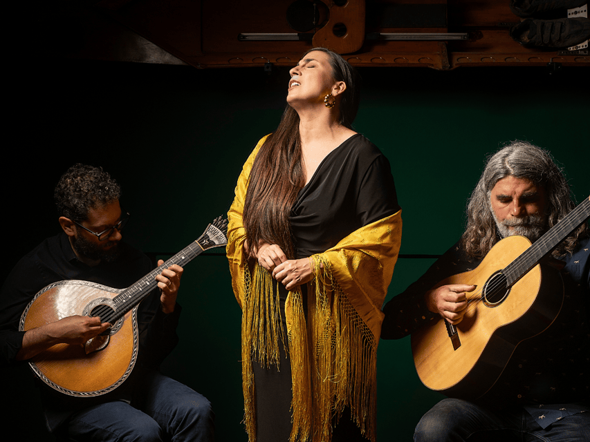 Porto: Authentic Fado Concert With Port Wine & Views - Fado in Gaia: Why This 1-Hour Show Feels Worth It