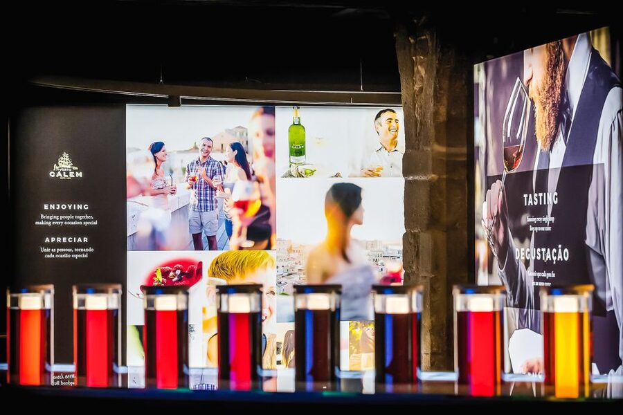 Porto: Cálem Cellar Tour, Fado Show & Wine Tasting - Cálem Cellars and Fado in 75 minutes: the big picture