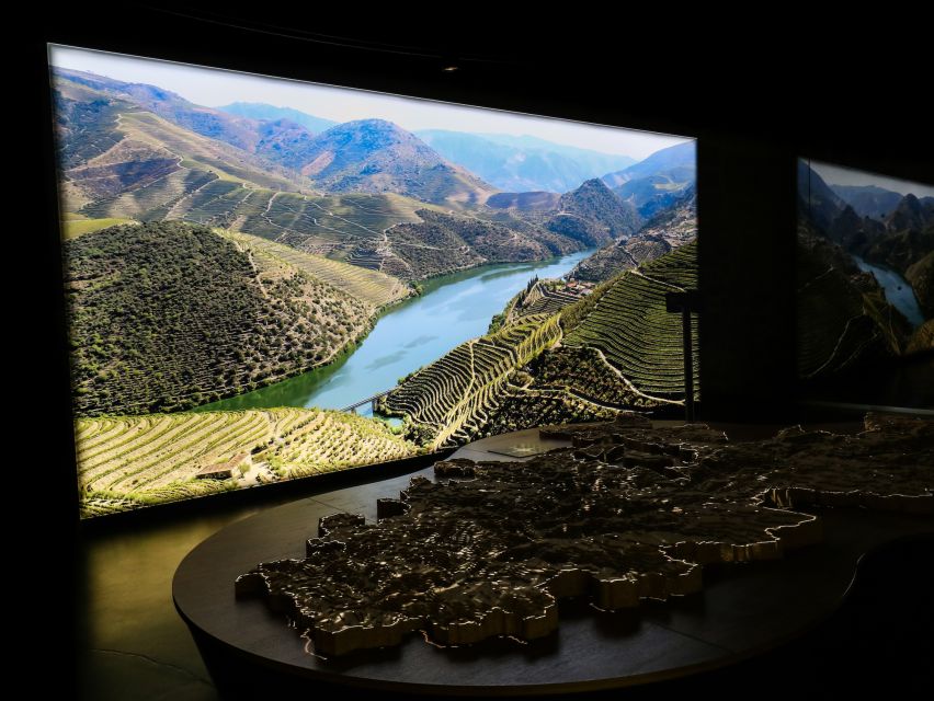 Porto: Cálem Cellar with Chocolate, Cheese, and Wine Tasting - The tasting line-up: Late Bottle Vintage, Vintage, and 20 years old tawny